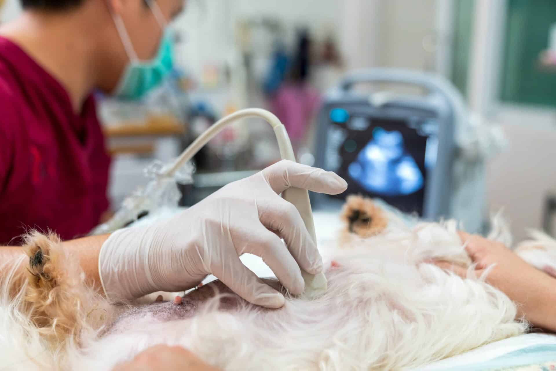 Diagnostics and Imaging