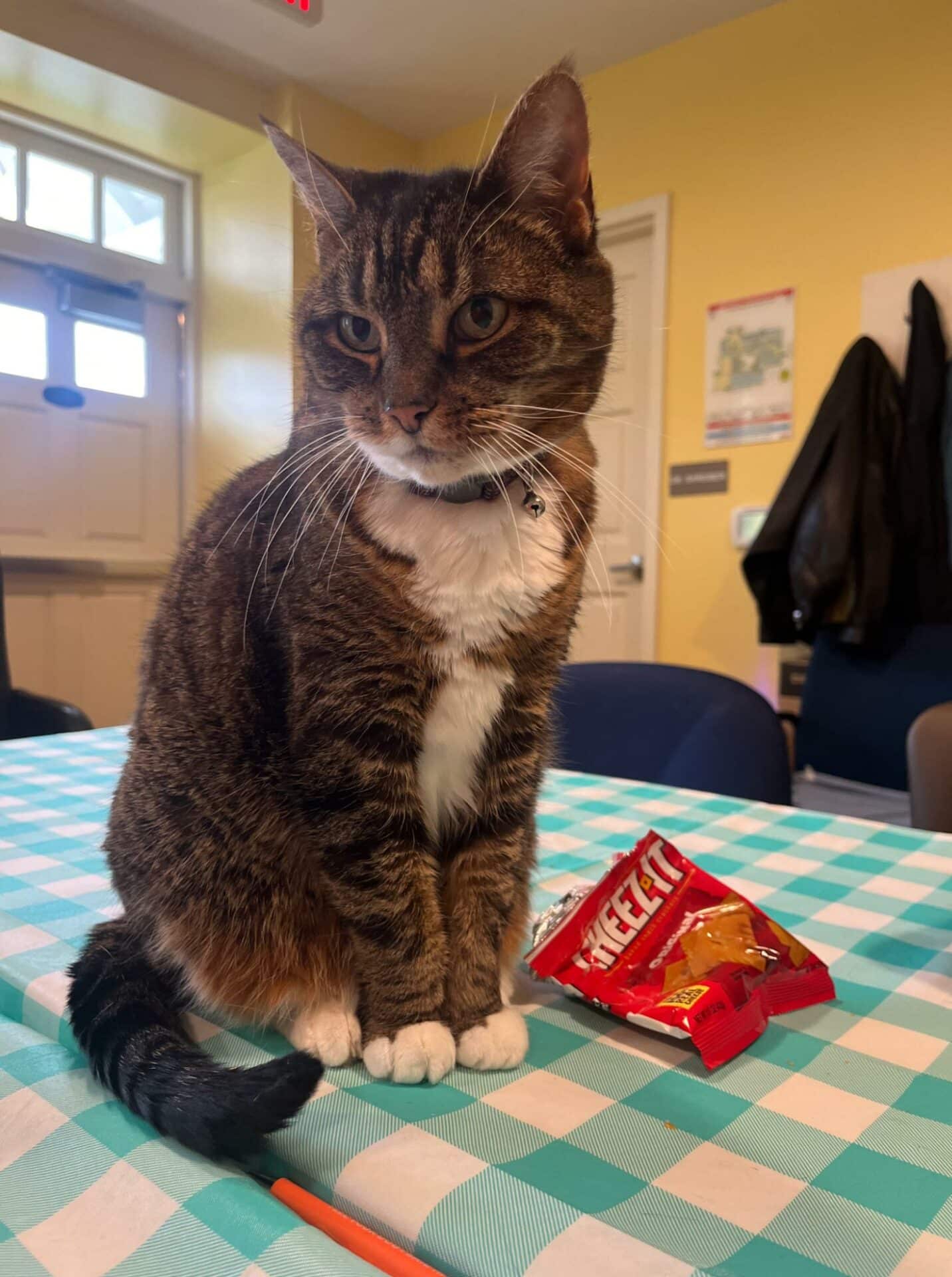 Elsie