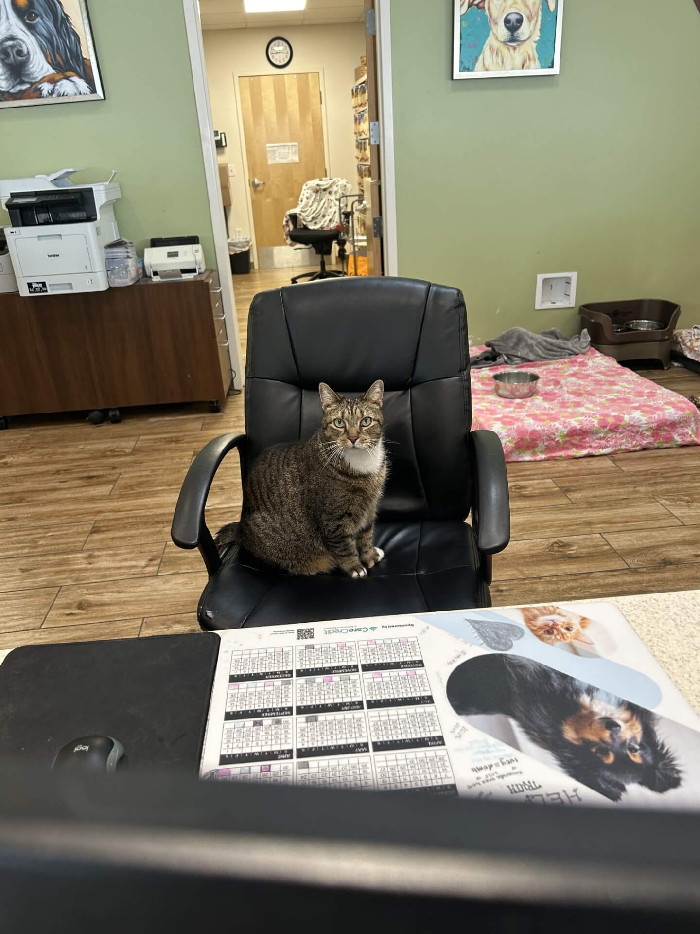 slugger in chair